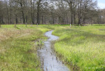 Bevert op de grens Salland Twente